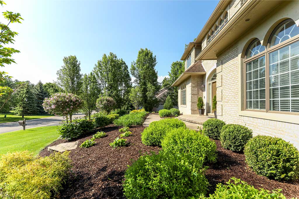 Beautiful Landscape Renovation in Brighton