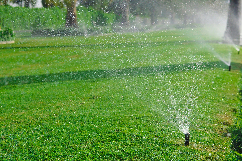 Irrigation Maintenance