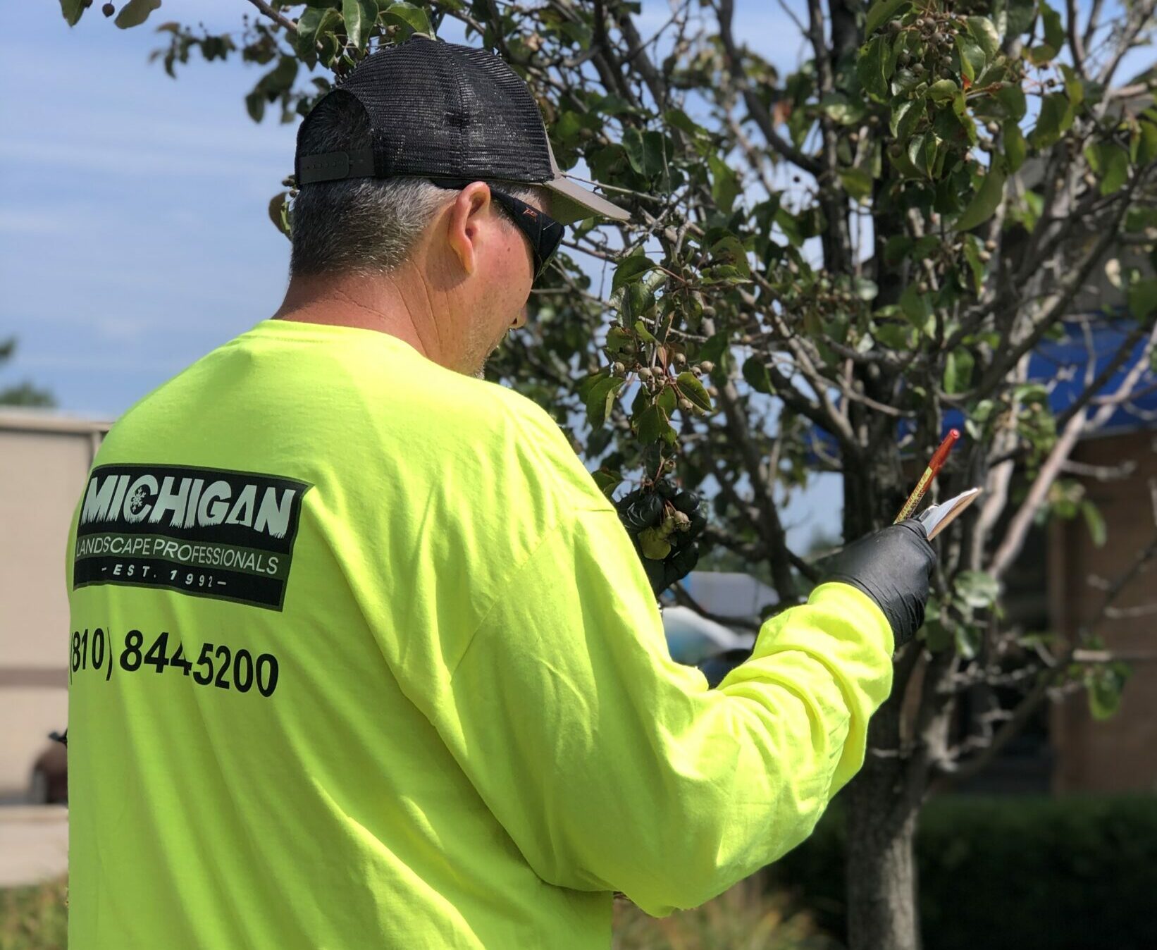 Why is Tree and Shrub Care Important?