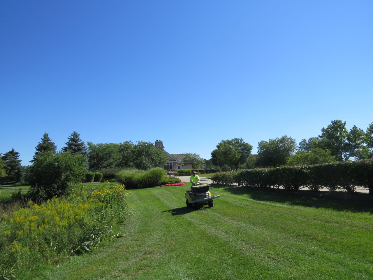 Lawn Aeration